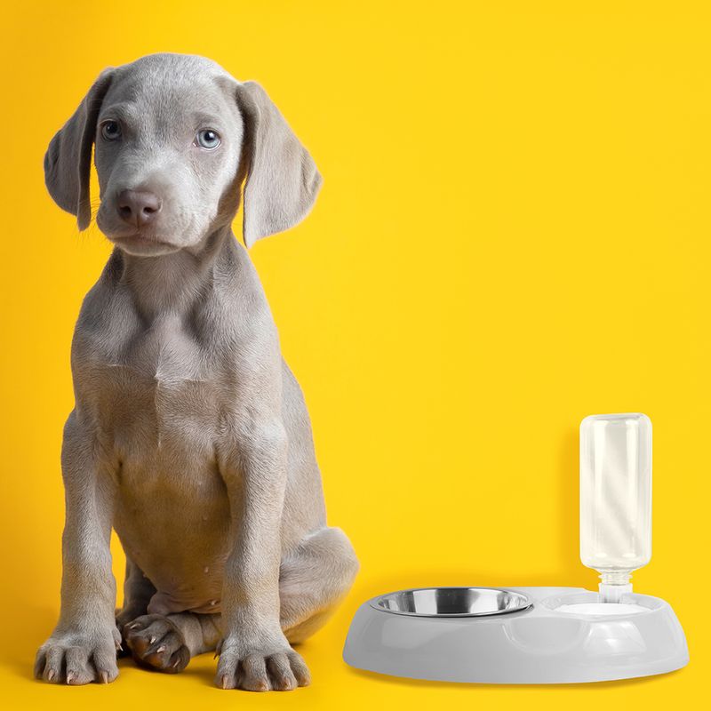 Set-de-Comida-y-Agua-para-Mascota-Set-de-Comida-y-Agua-para-Mascota-2-9109