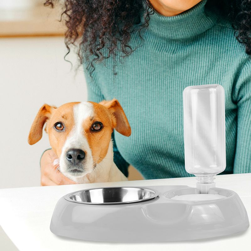Set-de-Comida-y-Agua-para-Mascota-Set-de-Comida-y-Agua-para-Mascota-5-9109