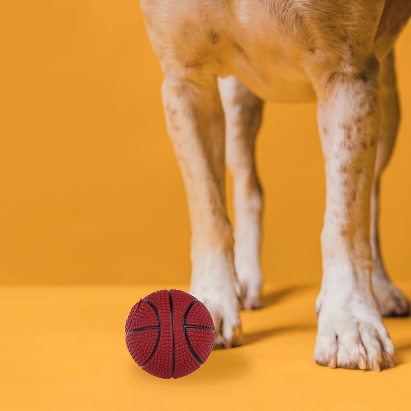 Pelota-para-Mascota-B-squetbol-Naranja-4-5908