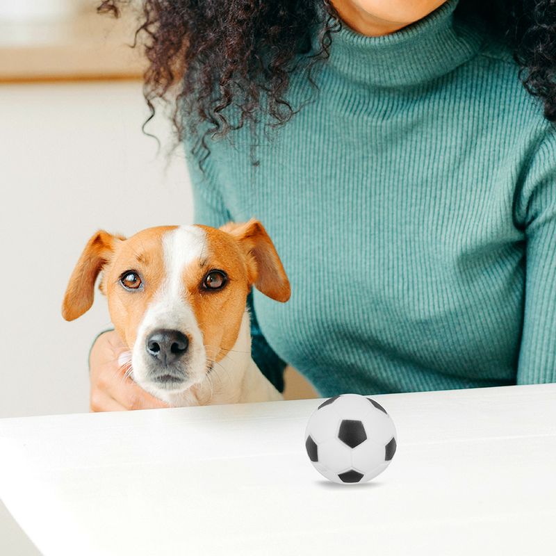 Juguete-De-Pelota-Con-Sonido-Para-Mascota-Football-MINISO-Pelota-De-Futbol-5-9861