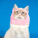 Gorro-para-Mascota-Grande-con-Forma-de-Cerdito-2-9103