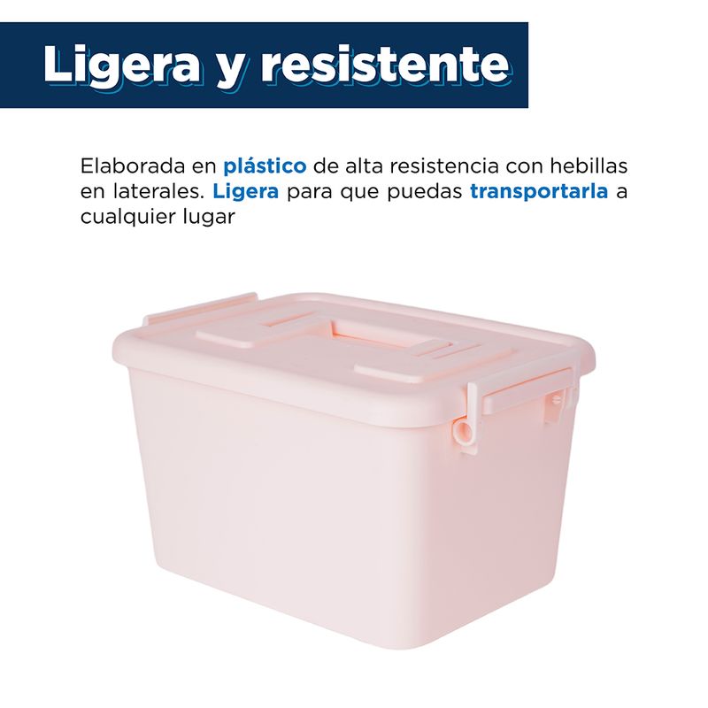Caja-De-Almacenamiento-Rosa-4-2170