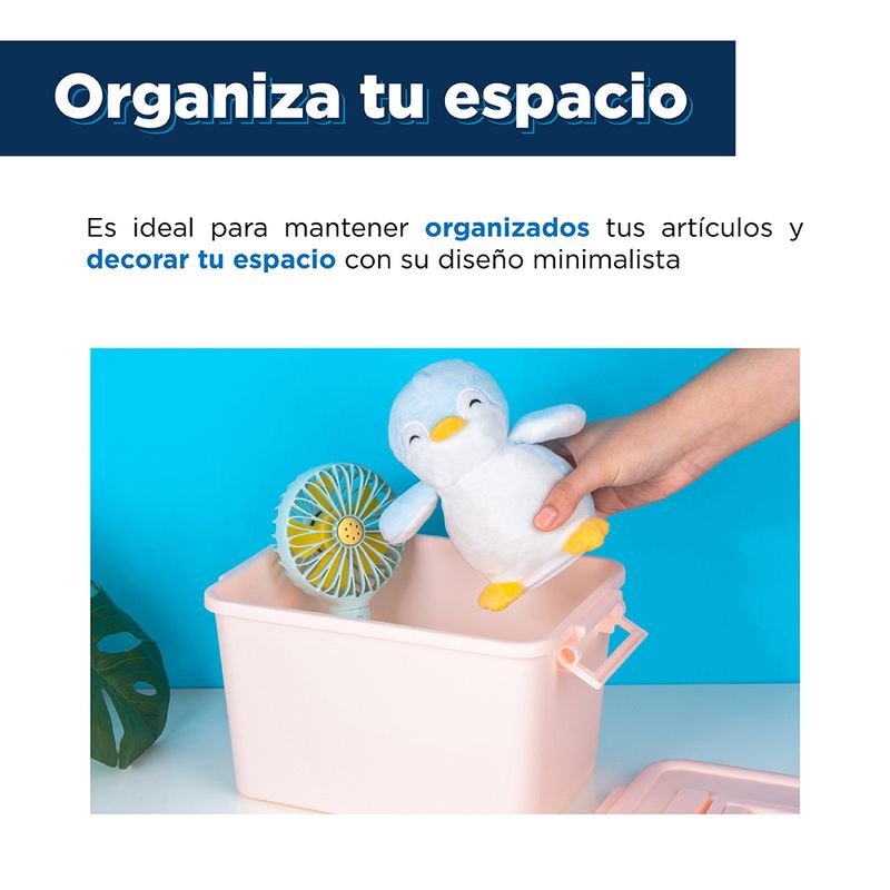 Caja-De-Almacenamiento-Rosa-5-2170