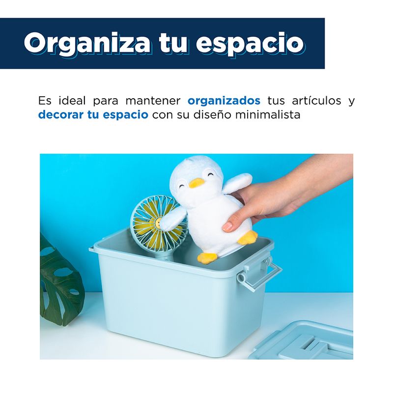 Caja-Para-Almacenamiento-Color-Azul-5-2171