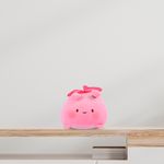 Peluche-Miniso-7-14560