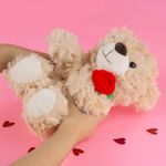 Peluche-Miniso-Osito-Con-Rosa-Caf-2-21641