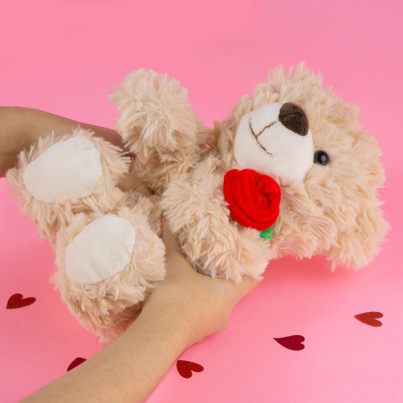 Peluche-Miniso-Osito-Con-Rosa-Caf-2-21641