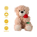 Peluche-Miniso-Osito-Con-Rosa-Caf-3-21641