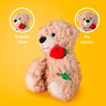 Peluche-Miniso-Osito-Con-Rosa-Caf-5-21641