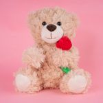 Peluche-Miniso-Osito-Con-Rosa-Caf-7-21641