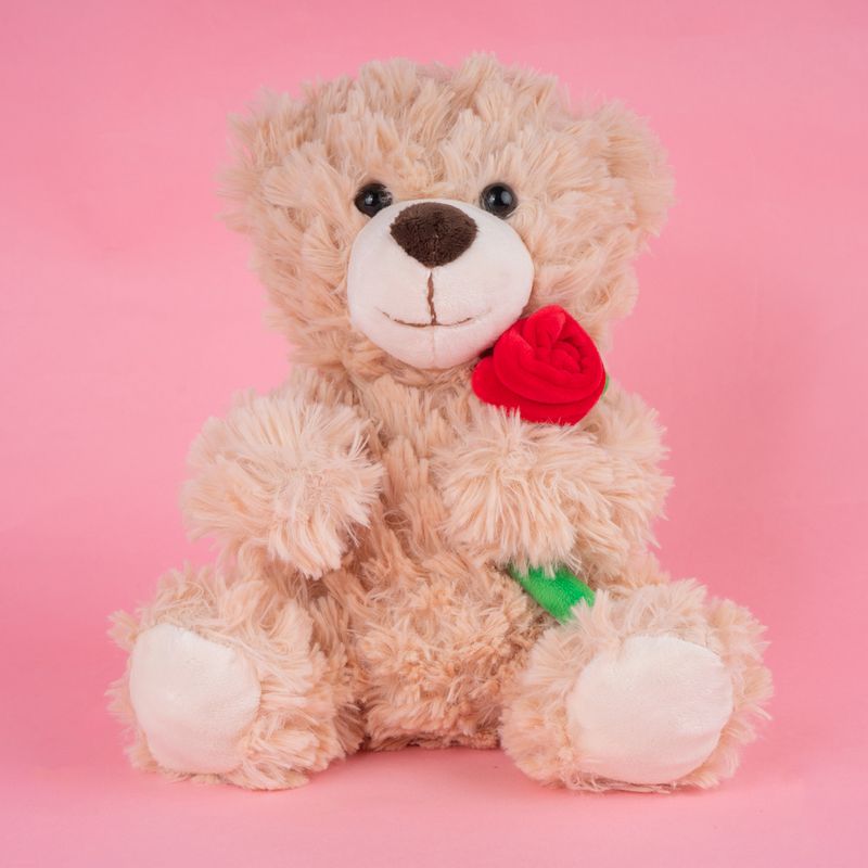 Peluche-Miniso-Osito-Con-Rosa-Caf-7-21641