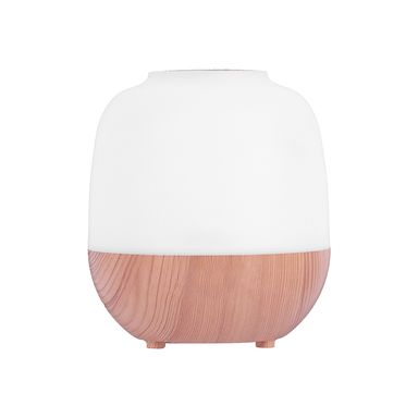 Humificador De Esencias Miniso Con Iluminación Led Blanco 120 ml