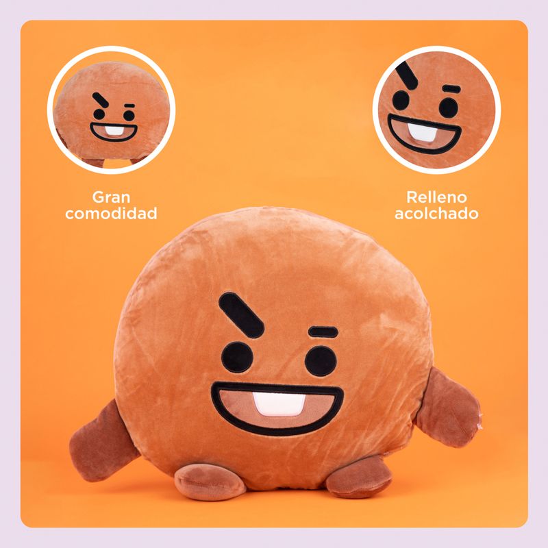 Coj-n-Decorativo-BT21-Shooky-Textil-Caf-5-22589
