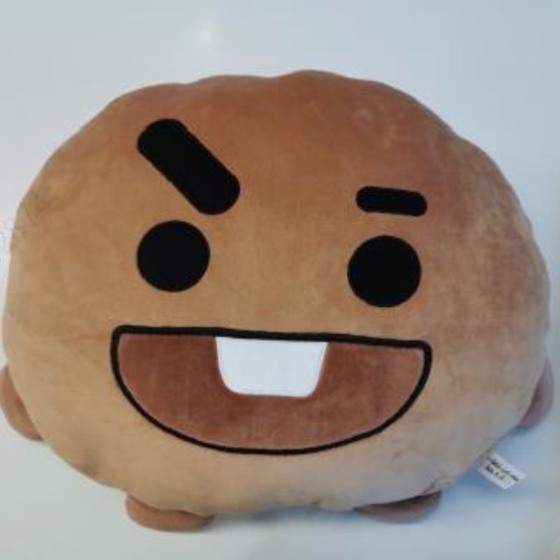 Coj-n-Decorativo-BT21-Shooky-Textil-Caf-1-22589