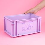 Organizador-De-Escritorio-SNOOPY-Organizador-De-Escritorio-Pl-stico-Lila-2-25072