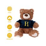Peluche-Harry-Potter-Osito-Con-Su-ter-Felpa-Azul-3-25536