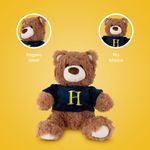 Peluche-Harry-Potter-Osito-Con-Su-ter-Felpa-Azul-5-25536