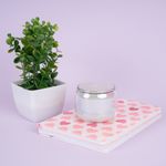 Bocina-Inal-mbrica-Sint-tica-Tornasol-6-5x7-cm-4-27560
