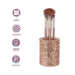 Kit-Brochas-De-Maquillaje-Con-Organizador-Miniso-Sint-ticas-Doradas-4-Piezas-3-26041