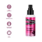 Shampoo-En-Seco-Magnifique-100-ml-Absorbe-Grasa-3-28479