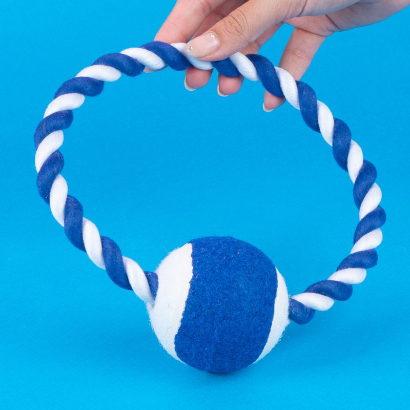 Juguete-De-Cuerda-Con-Pelota-Miniso-MINISO-Textil-Azul-2-24541