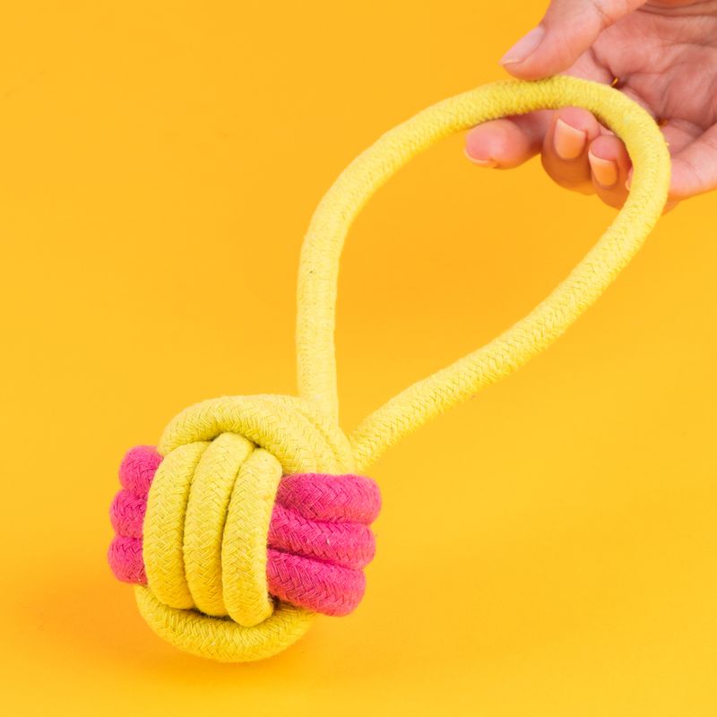 Juguete-De-Cuerda-Para-Mascotas-MINISO-Textil-Amarillo-2-24845