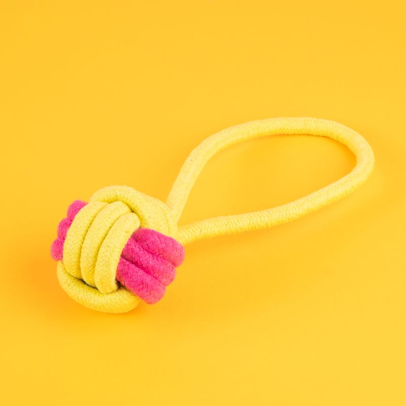 Juguete-De-Cuerda-Para-Mascotas-MINISO-Textil-Amarillo-3-24845