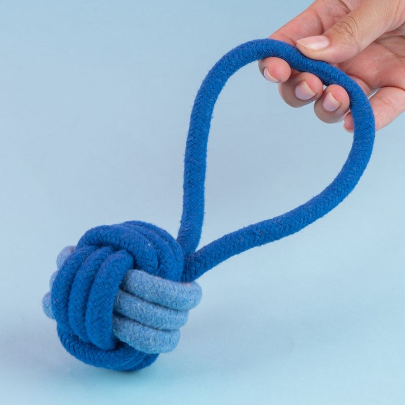 Juguete-De-Cuerda-Para-Mascotas-MINISO-Textil-Azul-2-24847