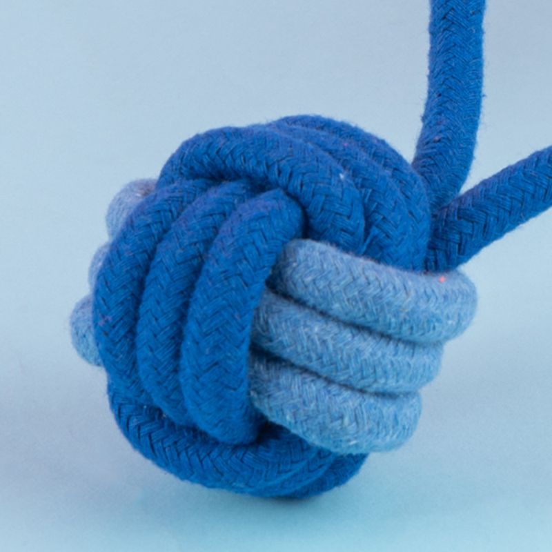 Juguete-De-Cuerda-Para-Mascotas-MINISO-Textil-Azul-5-24847