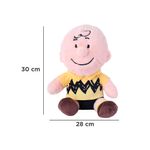 Peluche-Snoopy-Charlie-Brown-Felpa-28x30-cm-7-28781