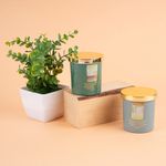Vela-Arom-tica-Con-Tapa-Artista-120-gr-Mango-Flor-De-Monoi-3-29029