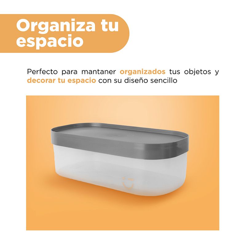 Caja-De-Almacenamiento-Silver-Gray-Sint-tica-30x14-8x10-cm-Rectangular-6-28923