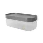 Caja-De-Almacenamiento-Silver-Gray-Sint-tica-30x14-8x10-cm-Rectangular-1-28923
