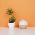 Humidificador-Al-mbrico-Con-Iluminaci-n-Sint-tico-13x13x12-cm-Difusor-Arom-tico-6-15537