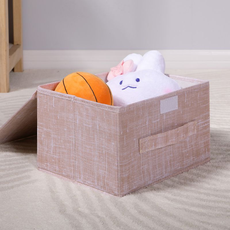 Caja-De-Almacentamiento-Con-Tapa-Solid-Color-Series-S-MINISO-2-10188